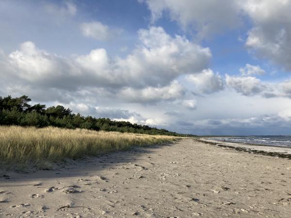 Buchingerfasten auf Rügen: Meer, Wind und Weite 